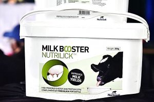 Nutribio products, the secret Dairy farmers are using to boost milk yields